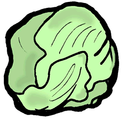 250x242 Full Version Of Head Of Lettuce Clipart