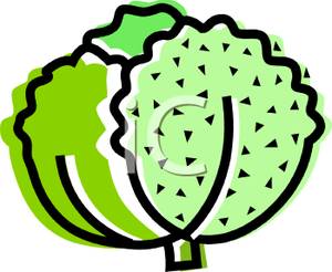 300x246 A Head Of Lettuce Clip Art Image