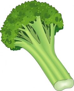 236x290 Lettuce Png Picture Lettuce