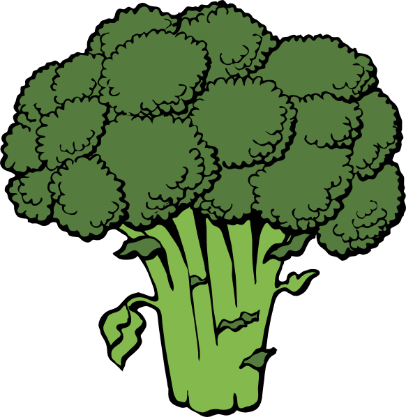 582x598 This Lush Broccoli Clip Art Is Clipart Panda