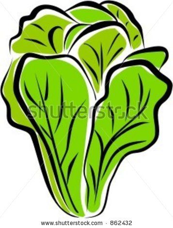 357x470 Lettuce Clipart Free