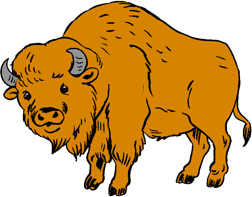 804x629 Free Buffalo Clipart Pictures