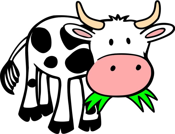 736x567 Fancy Baby Farm Animals Clip Art And Best 75 Cow Images On Home