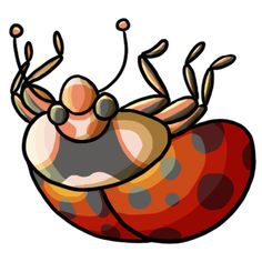 236x236 Free Butterfly Clip Art 2 Butterfly Clip Art