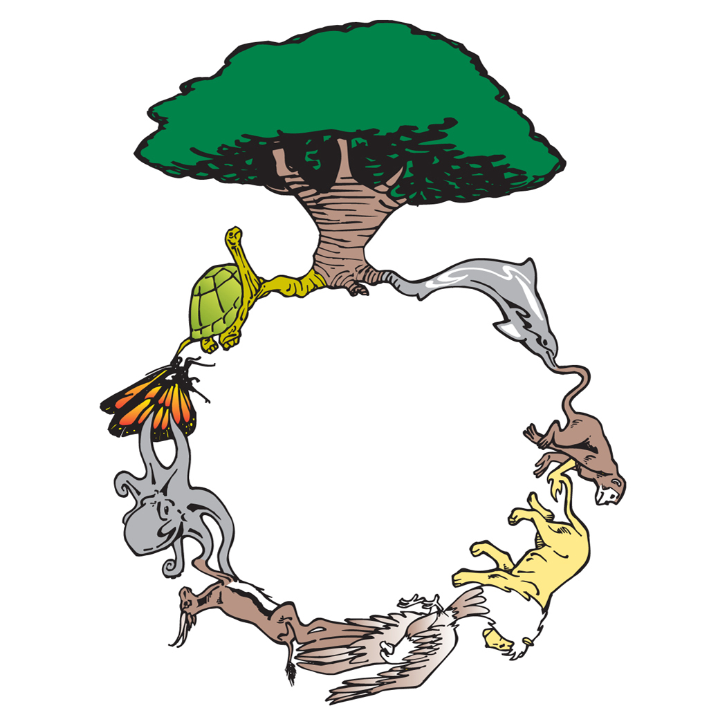 1051x1050 April 2012 Life Cycle Celebrations