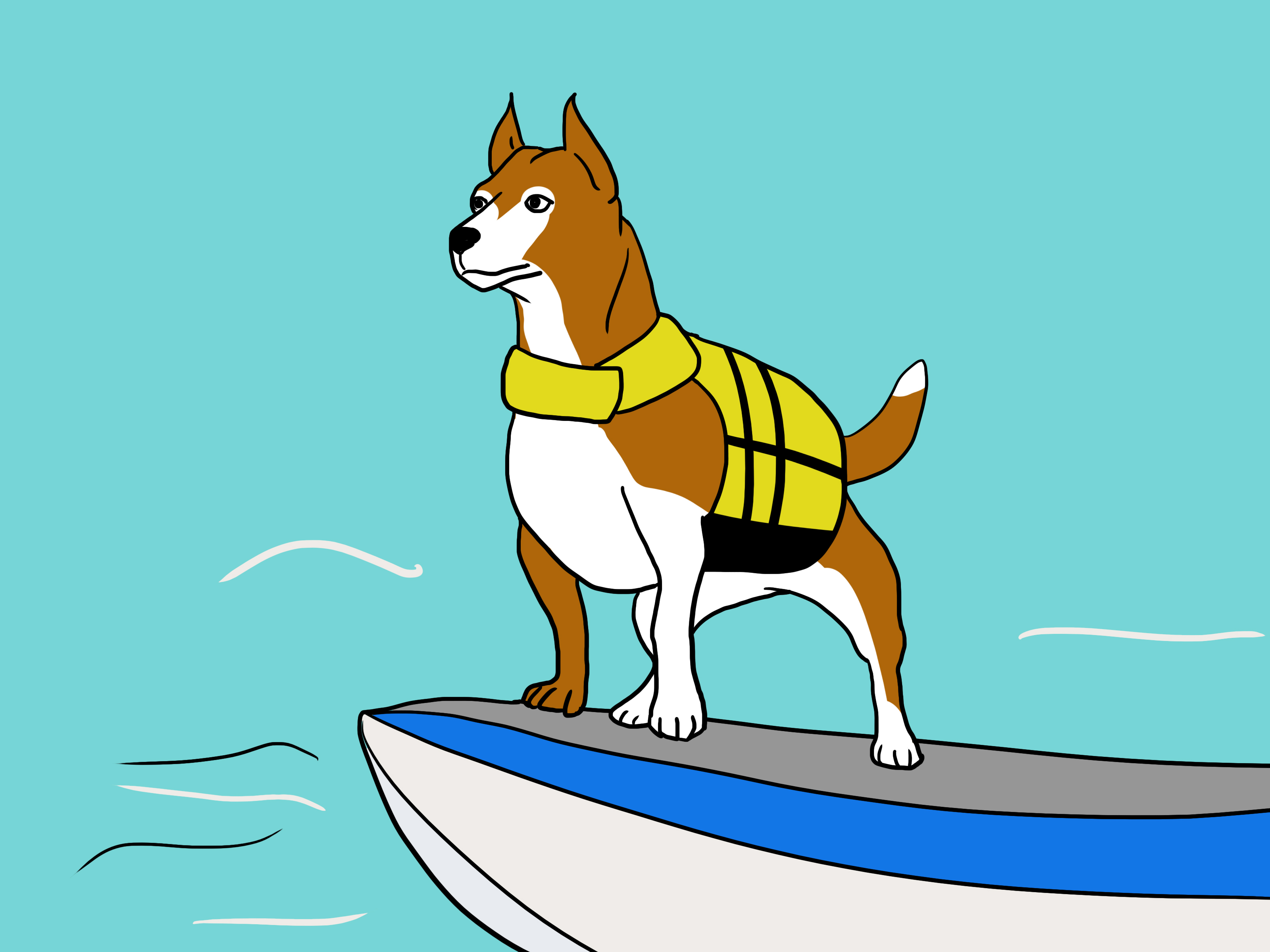 3200x2400 How To Choose A Life Jacket For Your Pet 7 Steps (With Pictures)