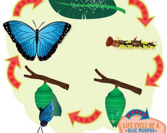 340x270 Compost It Compost Bin Clip Art Set