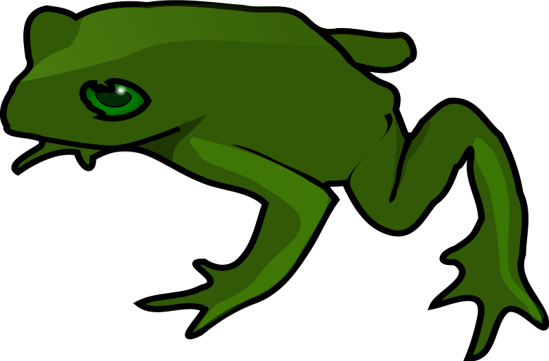 800x526 Free Simple Green Frog Clip Art Public Domain Images Nature
