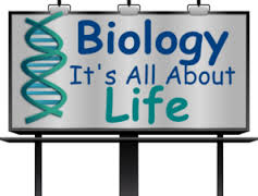 237x180 Bio Clipart Biology Science