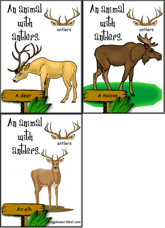 576x792 Clipart Animal Body Parts Flashcards For Life Science And Esl