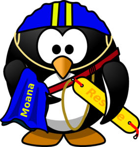 285x299 Penguin Lifeguard Clip Art