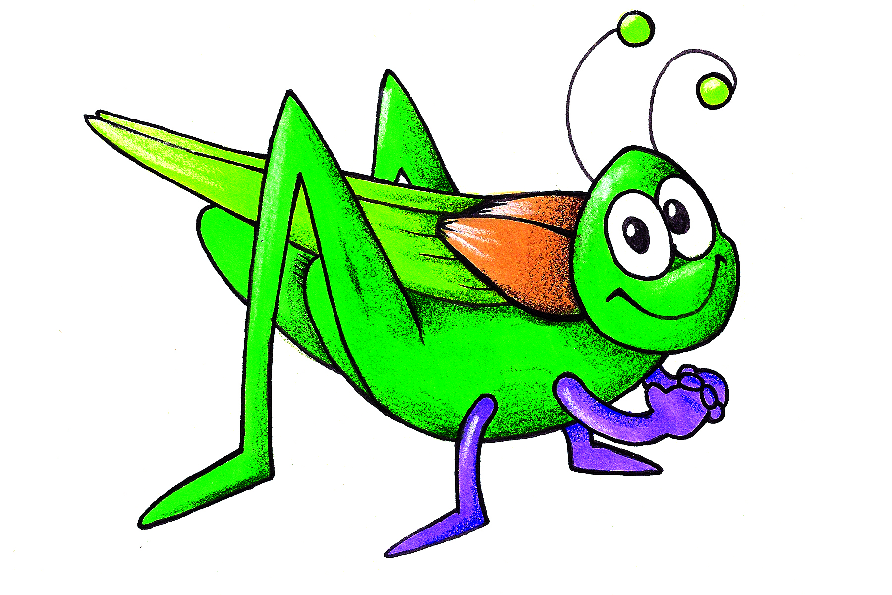 1800x1200 Cricket Bug Clipart