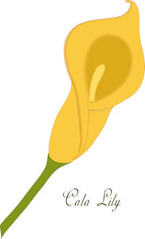 213x350 Free Clip Art Illustration Of A Golden Calla Lily