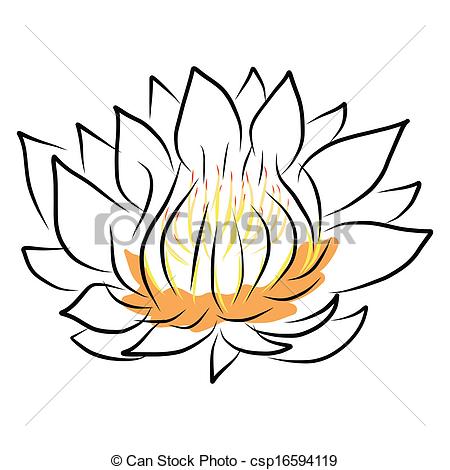 450x470 Hand Drawing Water Lily, Lotus, Flower. Vector Eps10 Vector Clip
