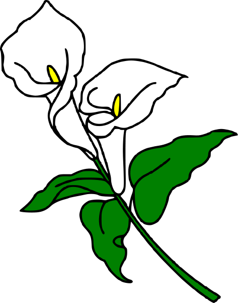 473x601 Calla Lily Clipart