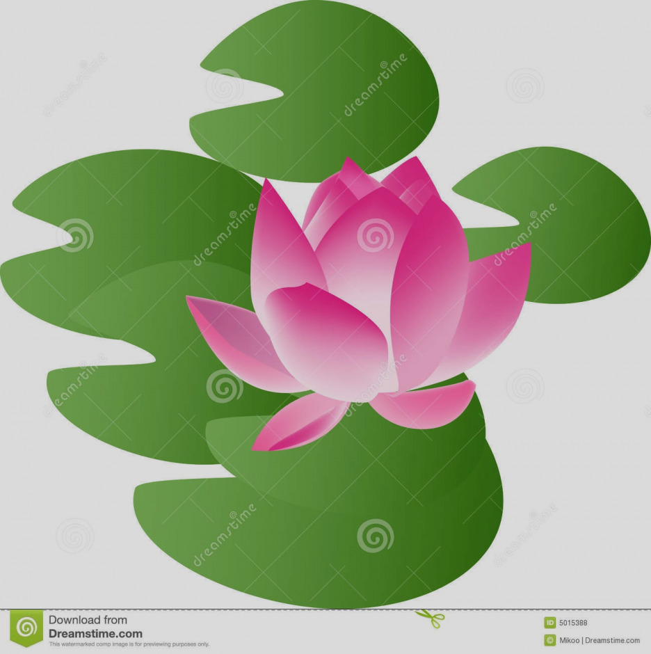 936x940 Trend Lily Clip Art Pink Flower Png Clipart Best Web