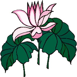 261x261 Water Lily Clip Art