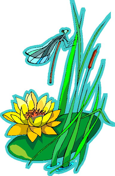 386x589 Water Lily Clip Art Flowers And Plants