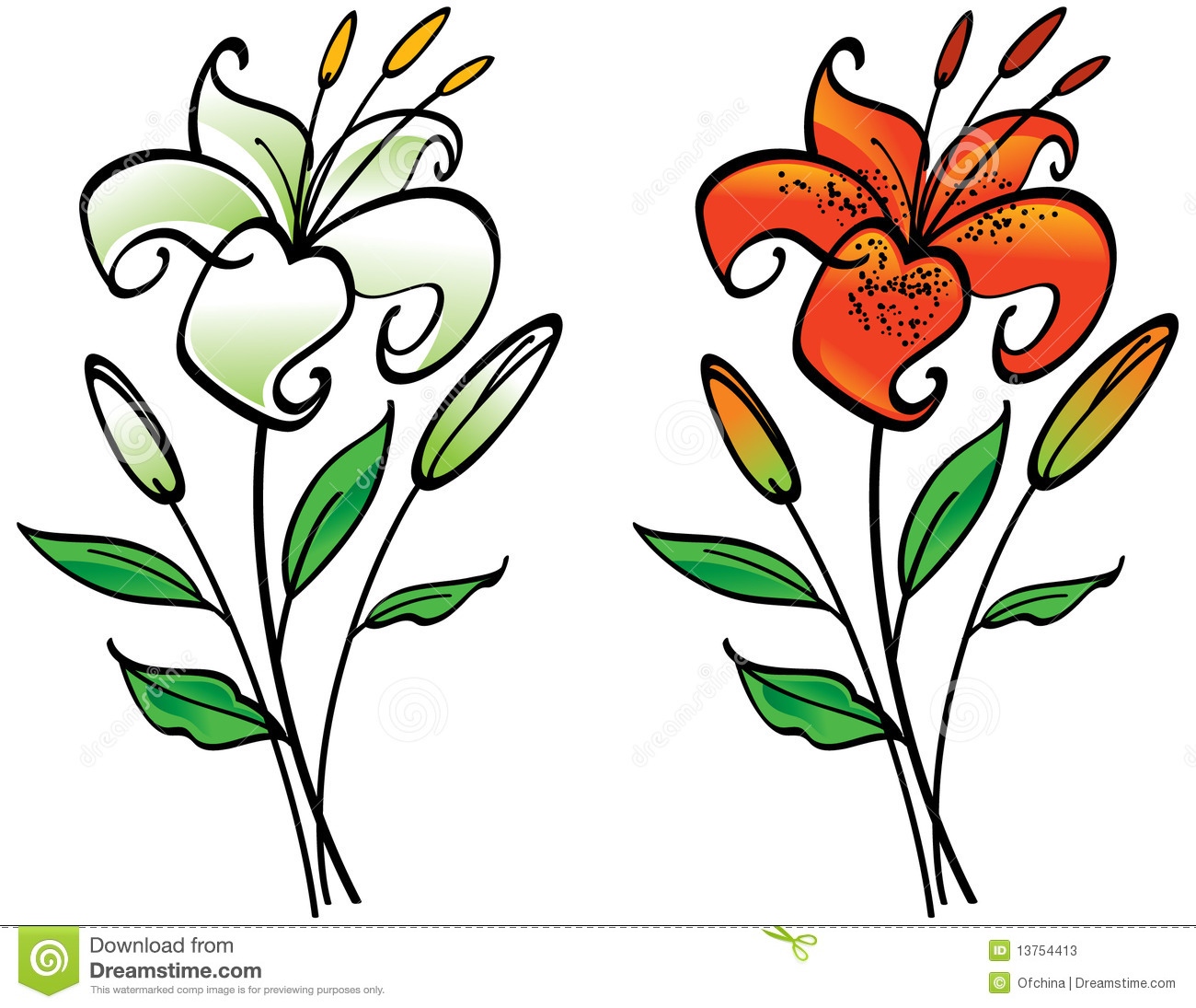 1300x1095 White Lily Clip Art