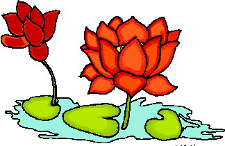 324x210 Flower Lily Water Clipart