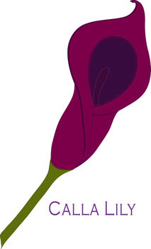 213x350 Free Clip Art Picture Of A Hot Chocolate Calla Lily