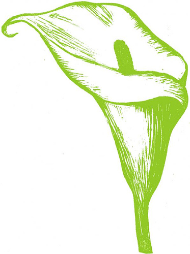373x500 Calla Lily Clip Art Clipartlook