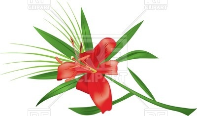400x235 Lily Flower Royalty Free Vector Clip Art Image