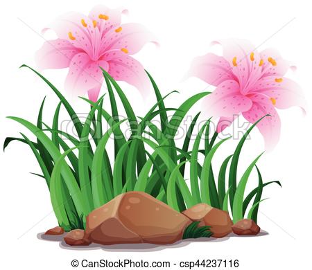 450x390 Pink Lily Flowers In Garden Illustration Vector Clip Art