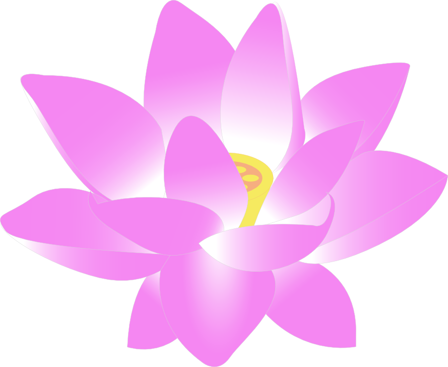 889x728 Lotus Flower Clip Art