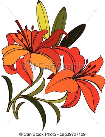 360x470 Bright Orange, Scarlet Lily Flower With Green Leaves Vector