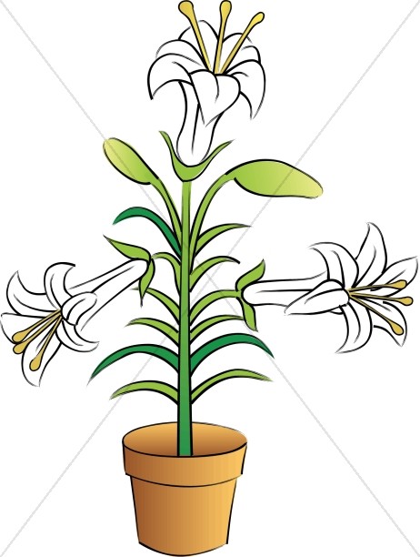 462x612 Easter Lilies Clipart