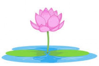 343x228 Lotus Flower Images Clip Art