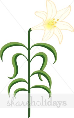 243x388 Luxurious And Splendid Lily Clipart Flower Clip Art Flowers