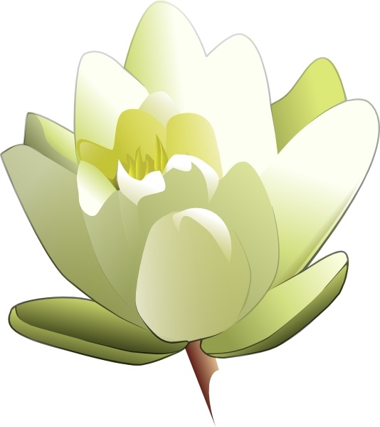 534x599 Vector Stargazing Lillies Free Vector Download (18 Free Vector