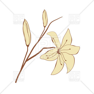 400x400 Vintage Look Hand Drawn Lily Royalty Free Vector Clip Art Image
