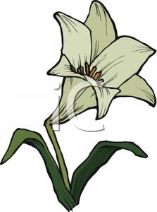 223x300 Easter Lily Clip Art Happy Easter 2018
