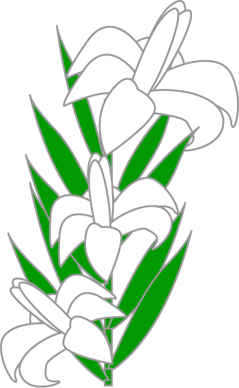 350x567 Easter Lily Clipart Hd Easter Images