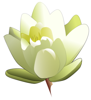 310x341 Free Lily Clipart