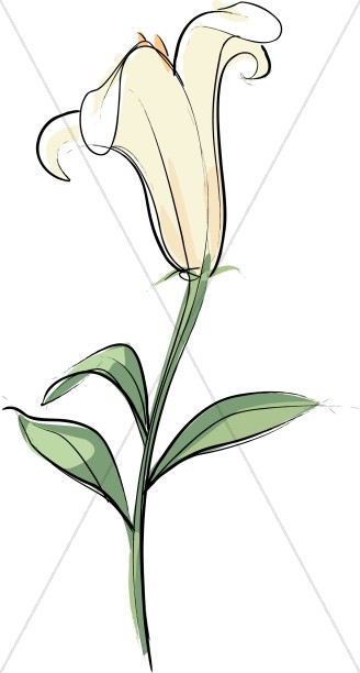 328x612 Lily Flower Clip Art Clipart