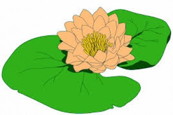 343x228 Free Flower Clipart S