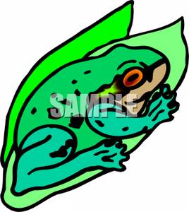 268x300 Green Toad On A Lily Pad Clipart Picture