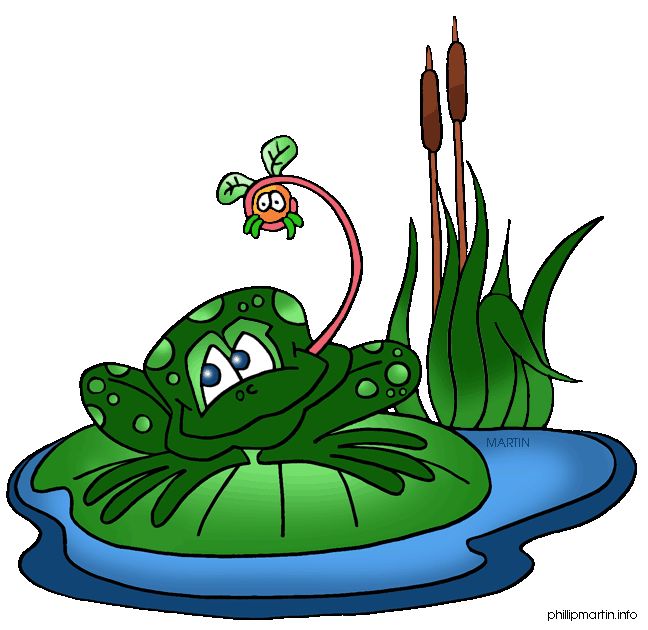 648x630 Pond Frogs Clipart