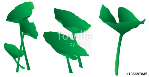 500x260 Variety Of Isolated Simple Green Lily Pads Or Aquatic Plants Clip