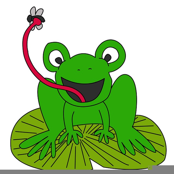 600x600 Cartoon Lily Pad Clipart Free Images