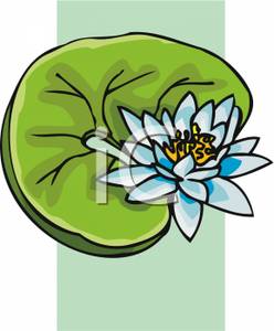 248x300 Clip Art Image A Lotus Flower And Lily Pad