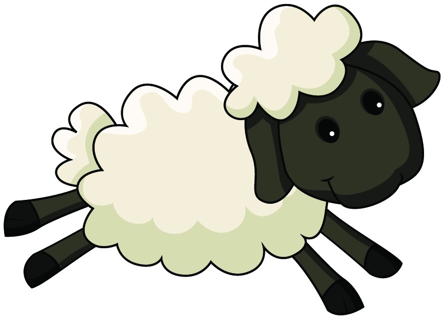 890x640 Sheep Clipart Cartoon