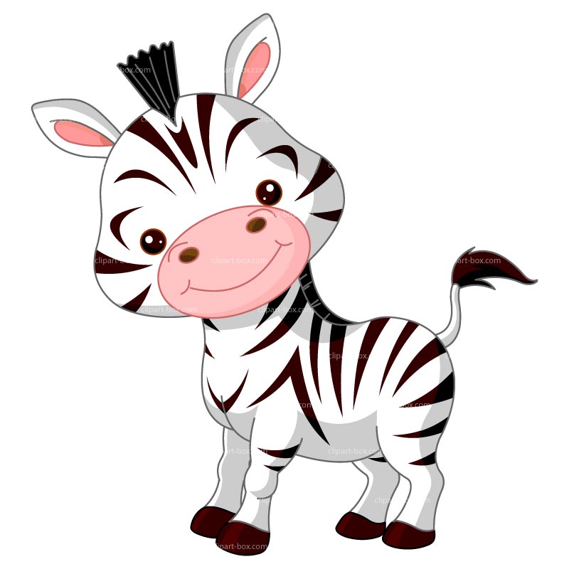 800x800 Baby Zebra Clipart Clipartlook