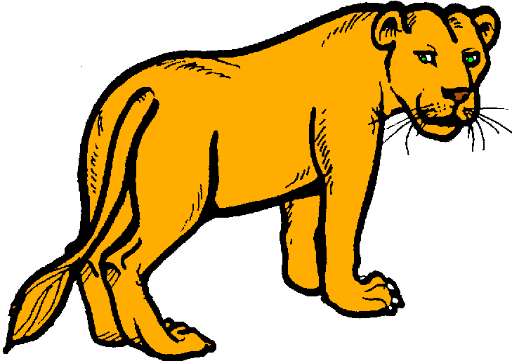 729x514 Lioness Clipart