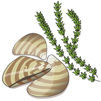 350x350 Invasive Species Clip Art By The Painted Crow Teachers Pay Teachers