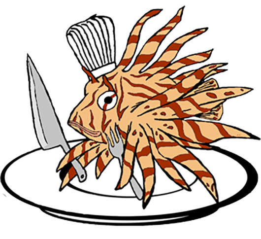 530x485 Lionfish Clipart Lion Fish